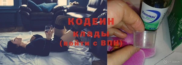 сатива Богородицк