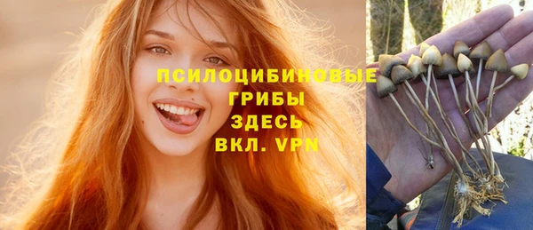 шишки Богданович