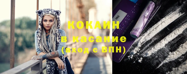 мдпв Няндома